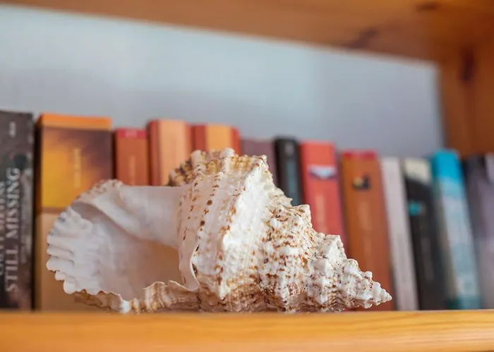 Ort Lemkenhafen Seeblick Fehmarn