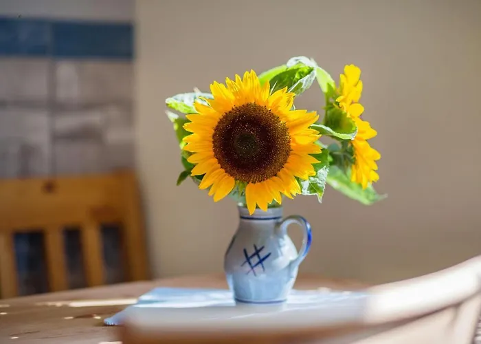 Ort Lemkenhafen Seeblick Fehmarn